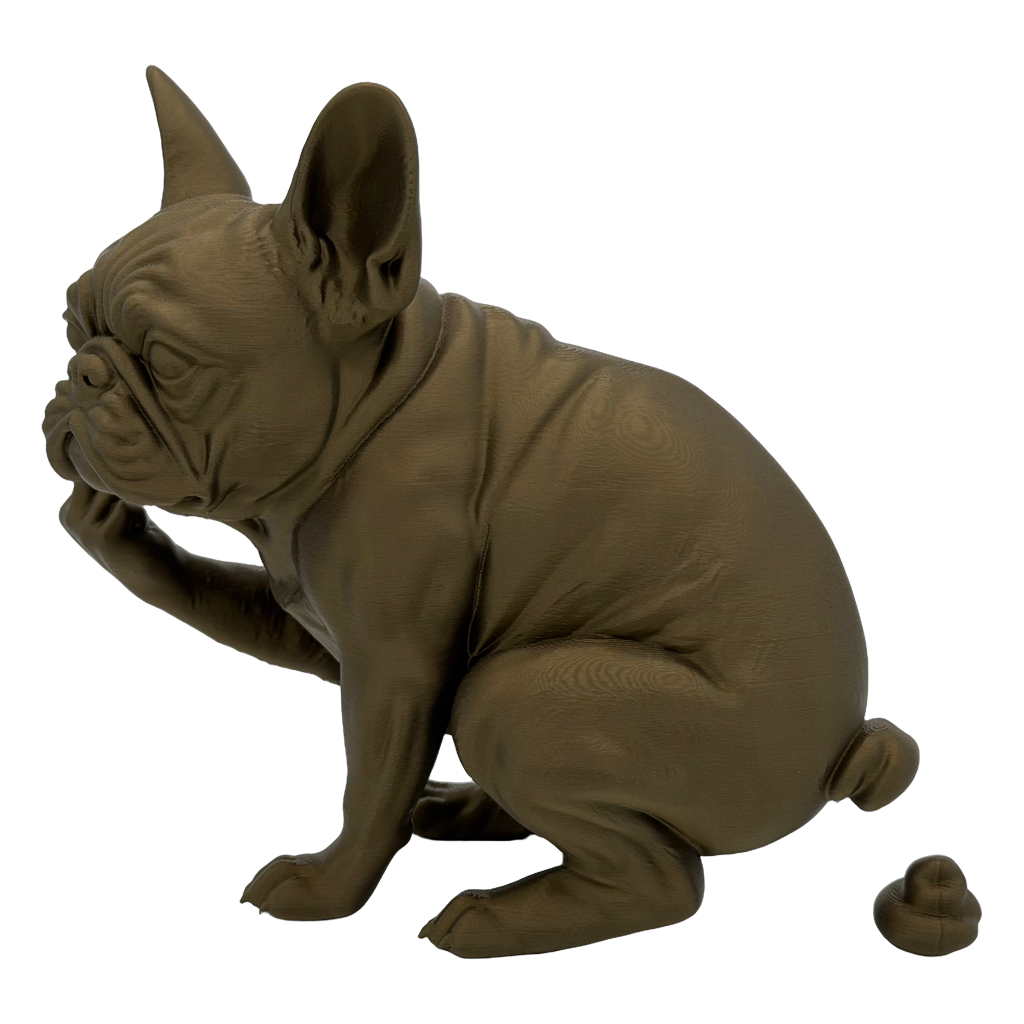 Franse bulldog die poept