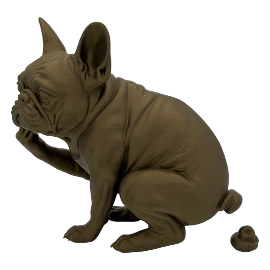 Franse bulldog die poept