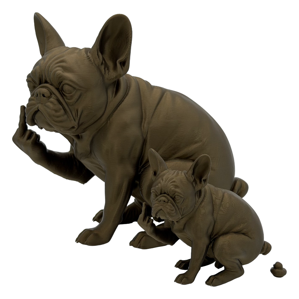Franse bulldog die poept