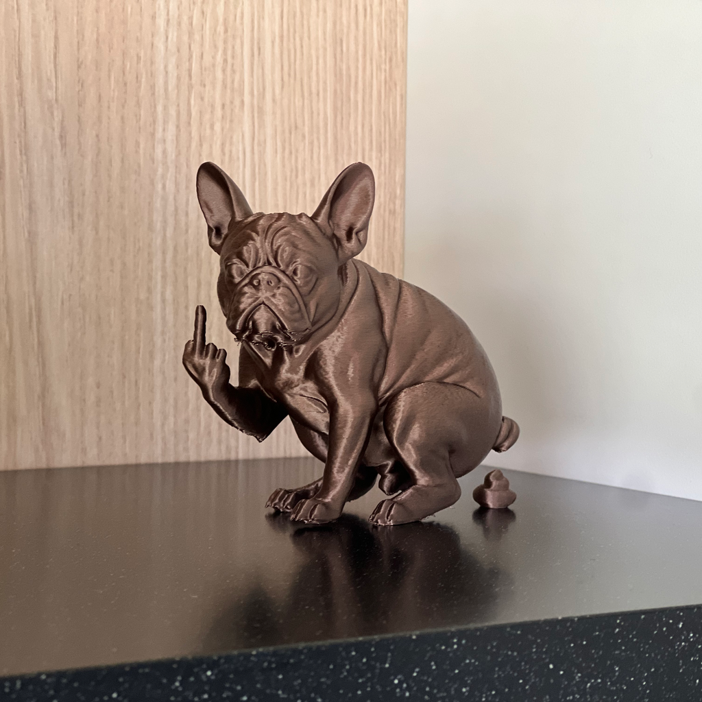 Franse bulldog die poept