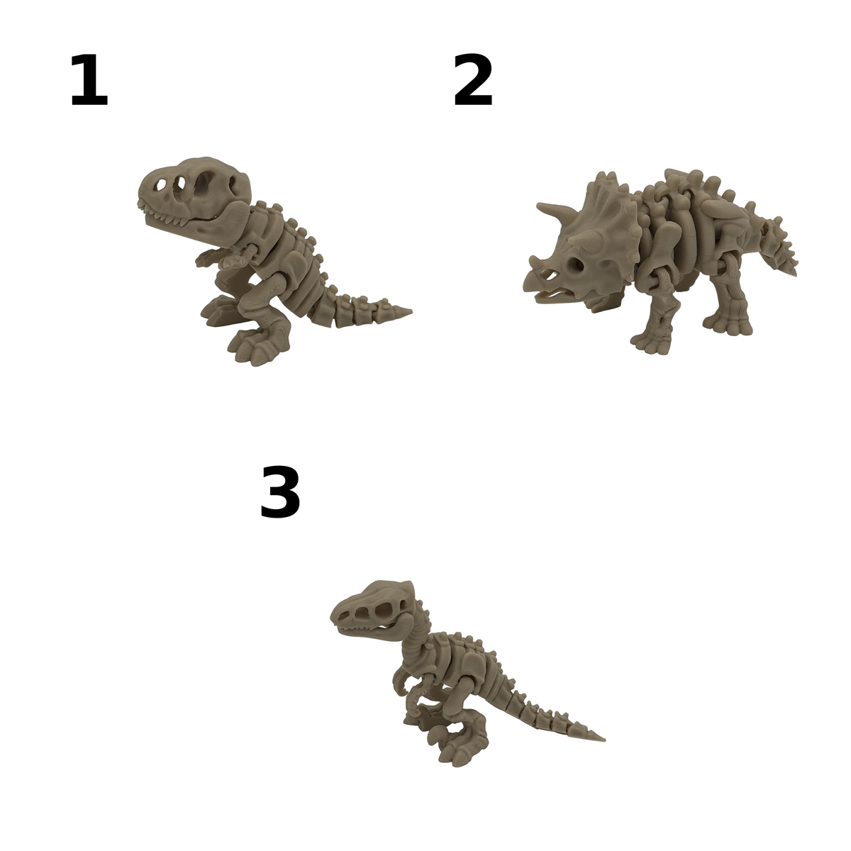 Fidget: Skeletdino