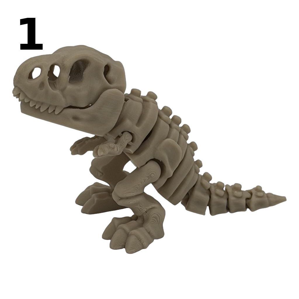 Fidget: Skeletdino