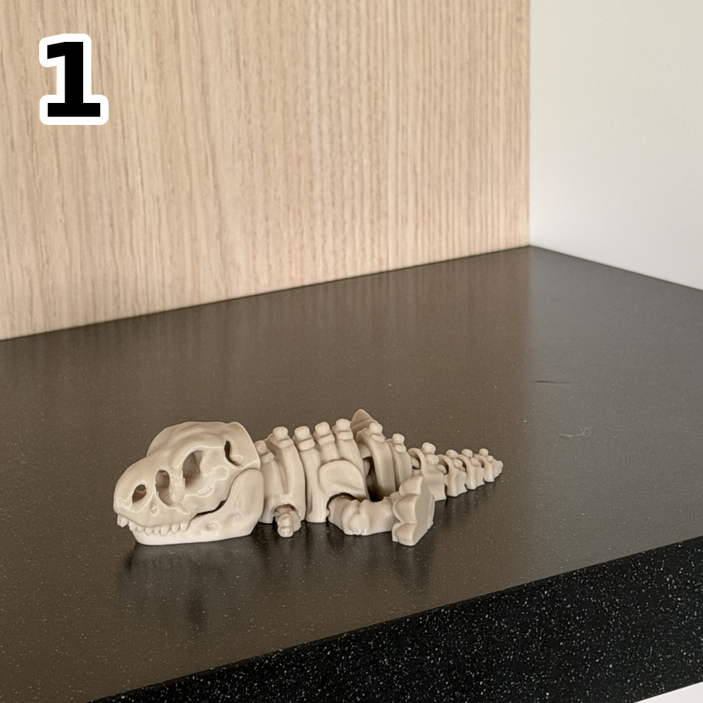 Fidget: Skeletdino