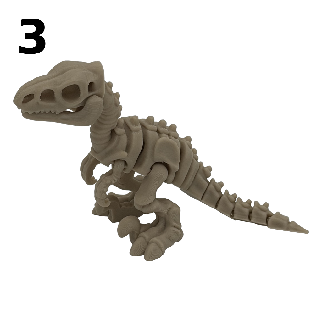 Fidget: Skeletdino