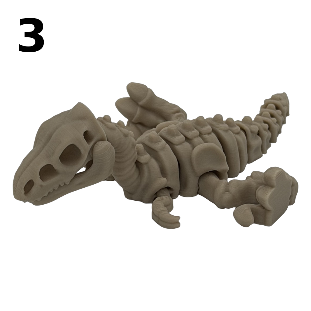 Fidget: Skeletdino