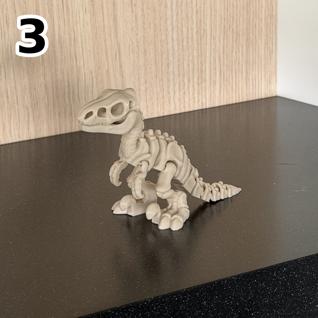 Fidget: Skeletdino