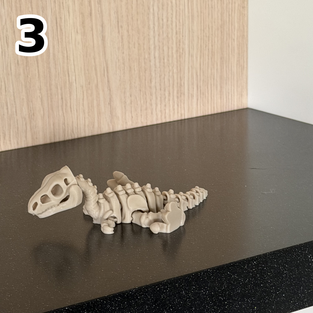 Fidget: Skeletdino