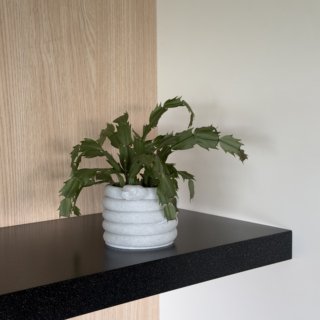 Plantenpot met slang