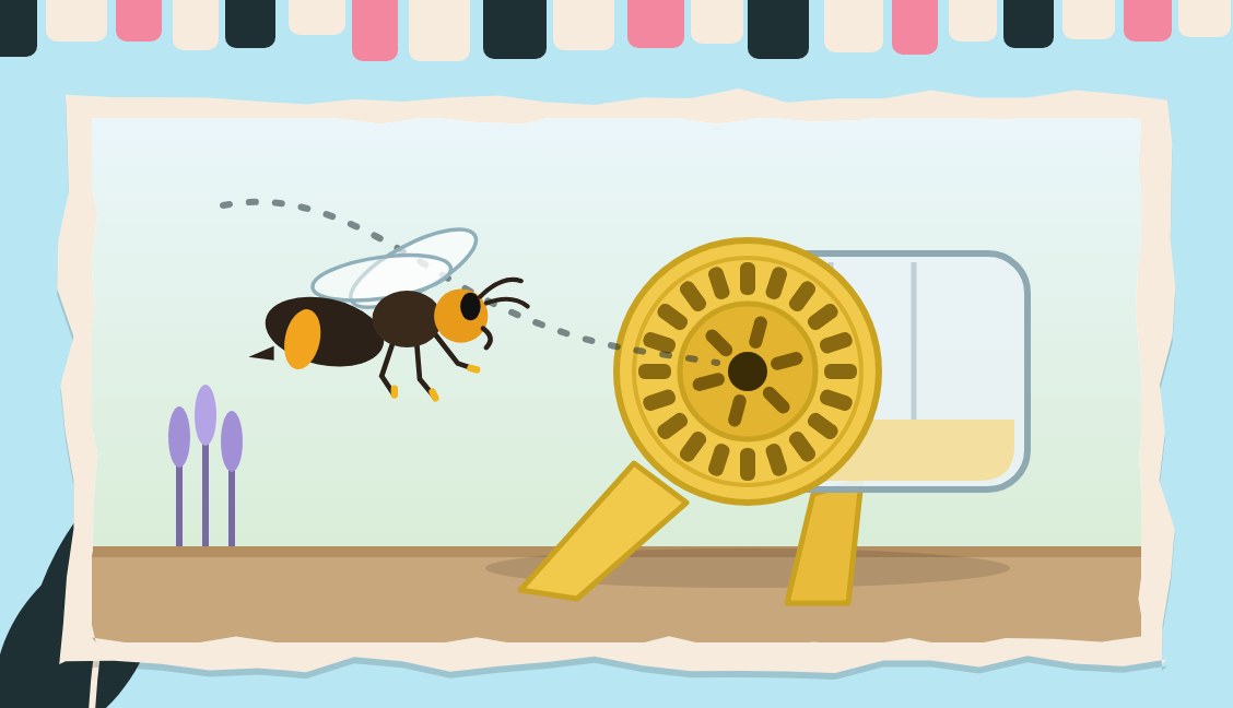 Hoornaarvallen